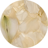 pilepetal-beige